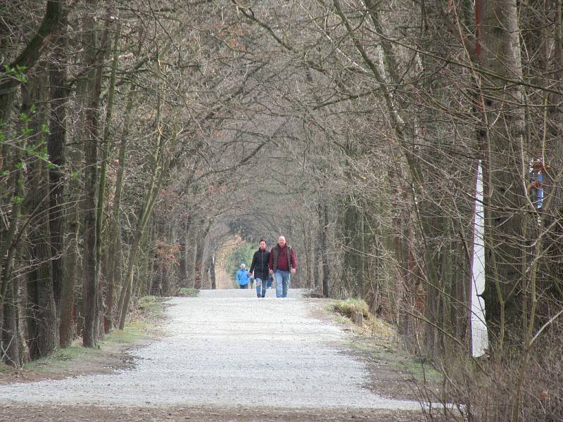 Přírodní rezervace leží na severozápadním okraji Českých Budějovic a má rozlohu 245,8 ha. Zahrnuje čtyři rybníky, mokřady a louky. Vyznačuje se bohatou a unikátní faunou i flórou.