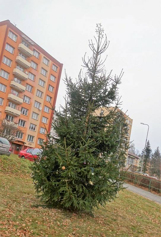 První sněhuláčci v Loučovicích a zdobení loučovického stromu