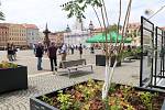Návrat stromů na českobudějovické náměstí Přemysla Otakara II. doprovází od úterý 28. června venkovní výstava městské teplárny.