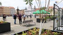 Návrat stromů na českobudějovické náměstí Přemysla Otakara II. doprovází od úterý 28. června venkovní výstava městské teplárny.