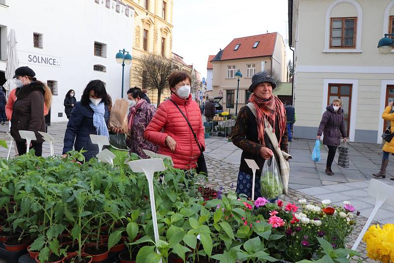 Farmářský trh na Piaristickém náměstí v Českých Budějovicích je opět otevřen.