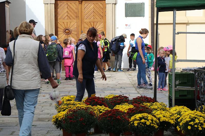 Trh na českobudějovickém Piaristickém náměstí je největší v krajském městě a dvakrát týdně ho navštíví tisíce českobudějovických občanů.