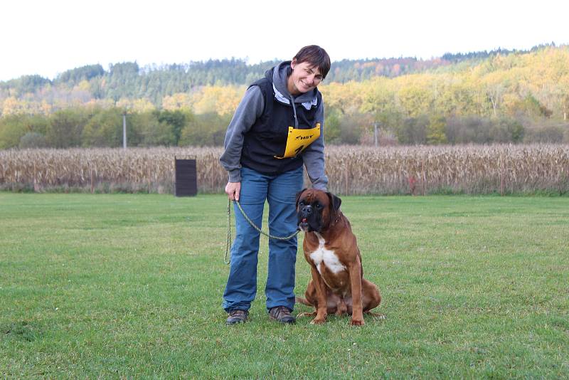 Výběrová soutěž německých boxerů na cvičišti ZKO Falco Hluboká nad Vltavou.