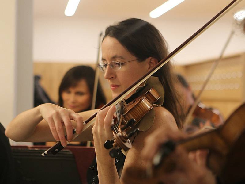 Jihočeská filharmonie otevřela 4. října své přestavěné sídlo v českobudějovickém kostele sv. Anny. Práce stály sedm milionů korun. Na snímku houslistka Michaela Vyoralová.