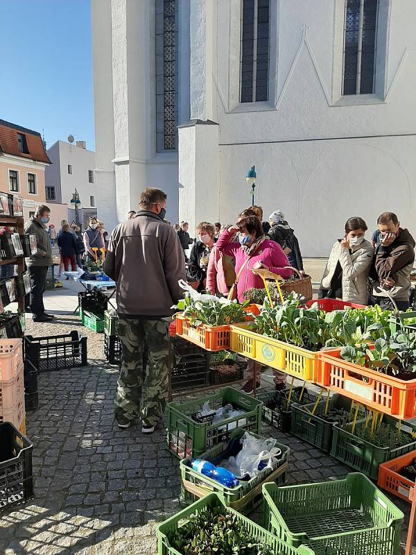 První farmářský trh na Piaristickém náměstí.