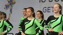 Mezinárodní gymnastické soutěže Eurogym začne v Českých Budějovicích přesně za 101 dní. Na snímku gymnastky ze ZŠ Tučapy.