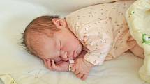 Ella Nachlingerová ze Šumavských Hoštic. Ella se narodila 27. 3. 2020 ve 20.50 hodin a její porodní váha byla 3 380 gramů. Na holčičku doma čekala sestřička Natálka (3).