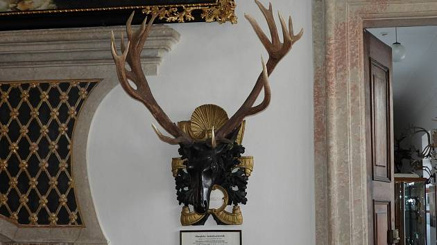 Ped 290 lety byl uloven jelen estadvacaterk  jeho paro dlouho drelo titul svtov trofeje. Nachz se v Nrodnm zemdlskm muzeu na zmku Ohrada.