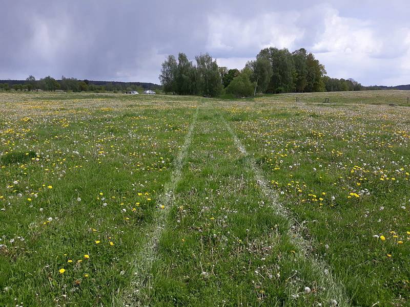 Řidič ujel 460 metrů po louce, než narazil do stromu.