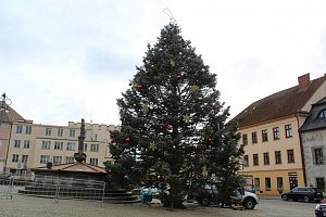 Vánoční strom v Táboře.