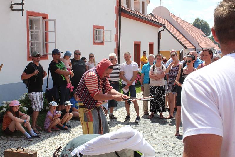 V sobotu začalo v Borovanech tradiční Borůvkobraní. Bohatý program si můžete užít i v neděli.