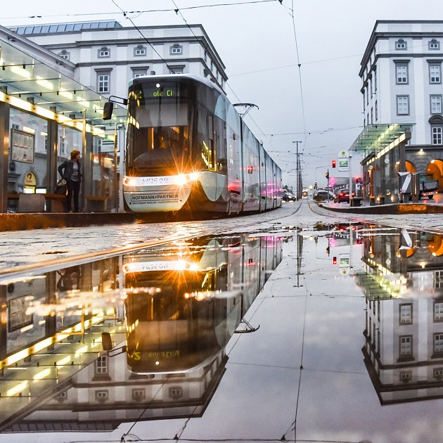 Linec, jak jste si jej možná nevšimli.