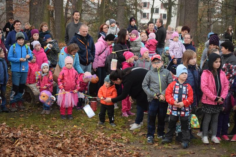 Broučci s beruškami si zasvítili.