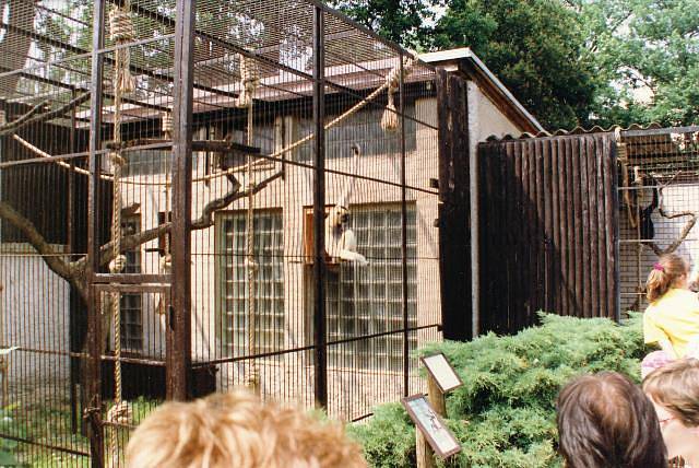 Historické snímky ze Zoo Ohrada.