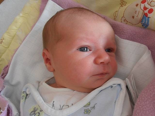 3,57 kg – touto porodní váhou se po narození pyšnila holčička jménem Stela Švarcová. Ta se pro svůj příchod na svět rozhodla v sobotu 29.3.2014 ve 14 hodin a 33 minut. Spolu s rodinou bude bydlet v Rožmitále na Šumavě. 