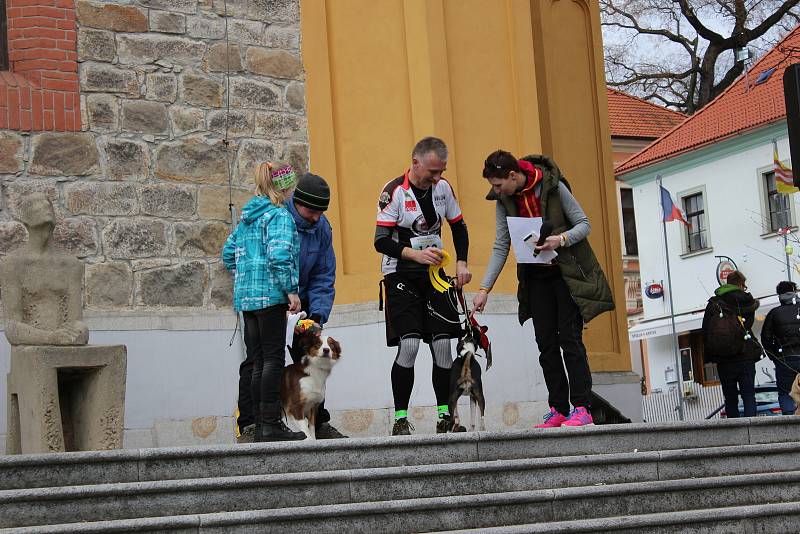 V neděli patřila Hluboká nad Vltavou sportovcům. Dopoledne vyběhli na 5 nebo 10 km dlouhou trať krosového běhu, odpoledne odstartoval canicrossový závod pro běžce se psy.