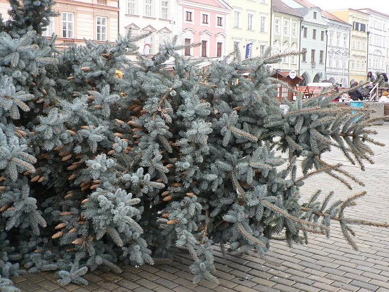 Náměstí Přemysla Otakara II. se rozloučilo s vánočním stromem.