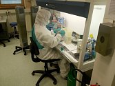 Přírodovědecká fakulta JU spouští testování SARS-Cov-2.