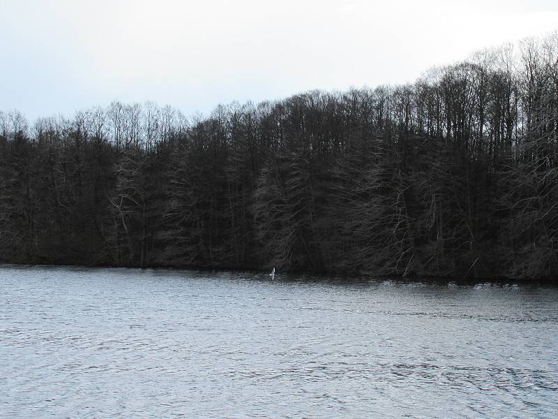 Přírodní rezervace leží na severozápadním okraji Českých Budějovic a má rozlohu 245,8 ha. Zahrnuje čtyři rybníky, mokřady a louky. Vyznačuje se bohatou a unikátní faunou i flórou.