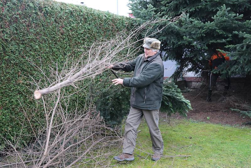 Vánoční strom pro České Budějovice.