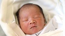 Dominik Nguyen se narodil 17. 9. 2019. Maminka Vu Thi Mai Huong jej porodila v 7.04 h. Váha po porodu ukazovala 3,17 kg. Vyrůstat bude v krajském městě.