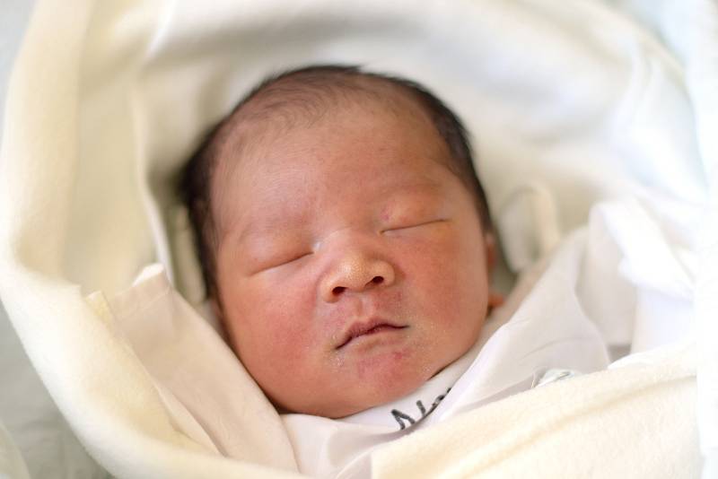 Dominik Nguyen se narodil 17. 9. 2019. Maminka Vu Thi Mai Huong jej porodila v 7.04 h. Váha po porodu ukazovala 3,17 kg. Vyrůstat bude v krajském městě.