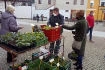 Na Piaristické náměstí v Českých Budějovicích se ve čtvrtek 15. dubna 2021 po pauze způsobené koronavirem vrátil tradiční trh.