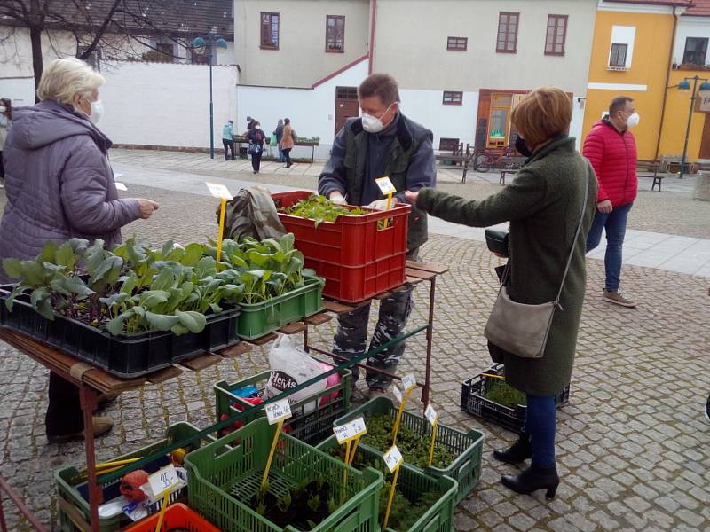 Na Piaristické náměstí v Českých Budějovicích se ve čtvrtek 15. dubna 2021 po pauze způsobené koronavirem vrátil tradiční trh.