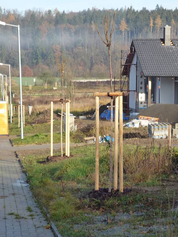 Ve středu se v Hluboké nad Vltavou uskutečnilo slavnostní otevření projektu "Výsadba dřevin Pod Pilou - Barokní kříž v lokalitě na Křesíně. Toho se účastnily i děti zde zdejší mateřské školy.