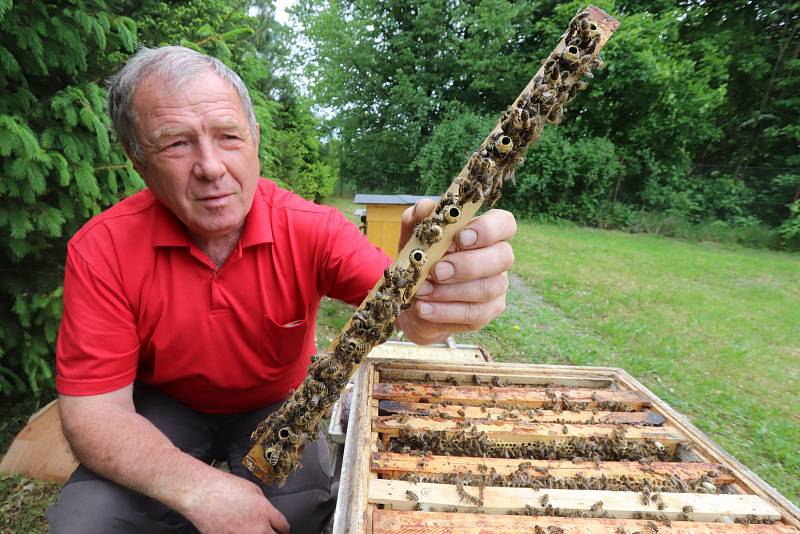 Den otevřených dveří u včelařů v Českých Budějovicích