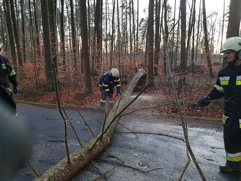 Hasiči zasahovali u popadaných stromů přes cestu v Dolním Bukovsku.