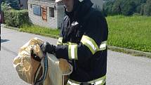 Užovku obojkovou vyhřívající se v Hlincově Hoře v ulici Kodetka Severní odchytli 22. července profesionální hasiči ze stanice Suché Vrbné.
