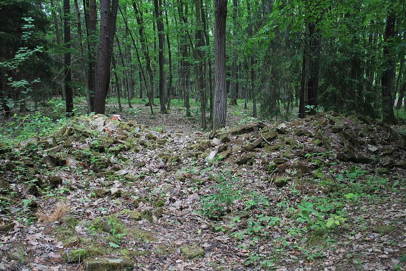 Branišovský les u českobudějovického sídliště Máj skrývá řadu tajemností.