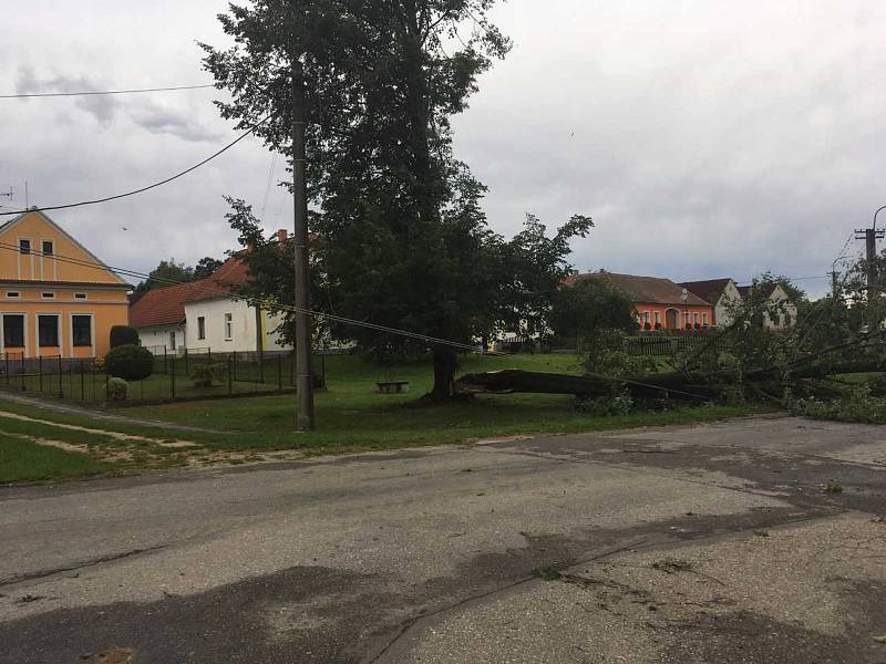Popadané stromy na návsi v Bošilci ztrhly elektrické vedení. Část obce je bez elektřiny.