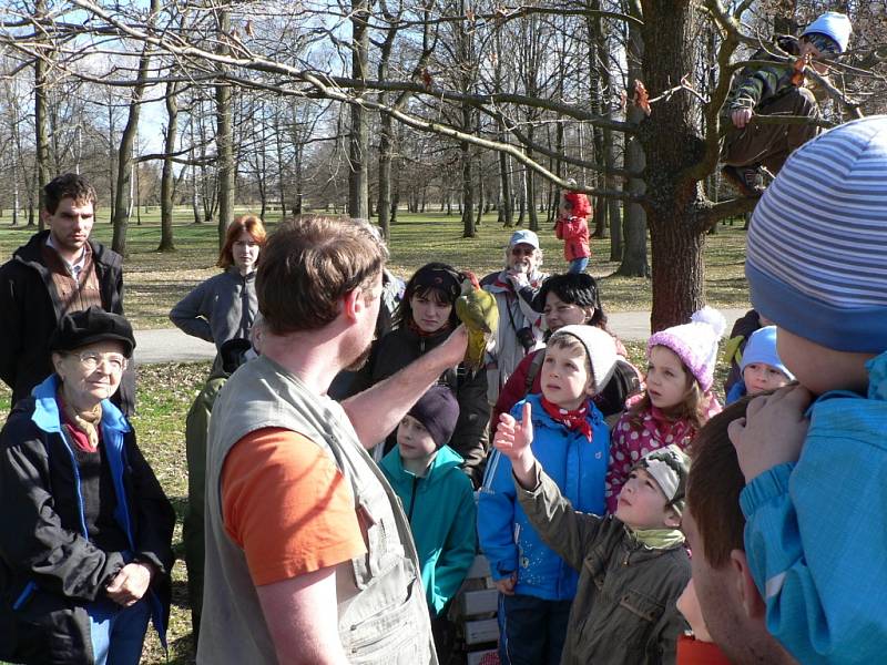 Českobudějovický park Stromovka je domovem desítek ptačích druhů. Konají se sem i ornitologické vycházky.