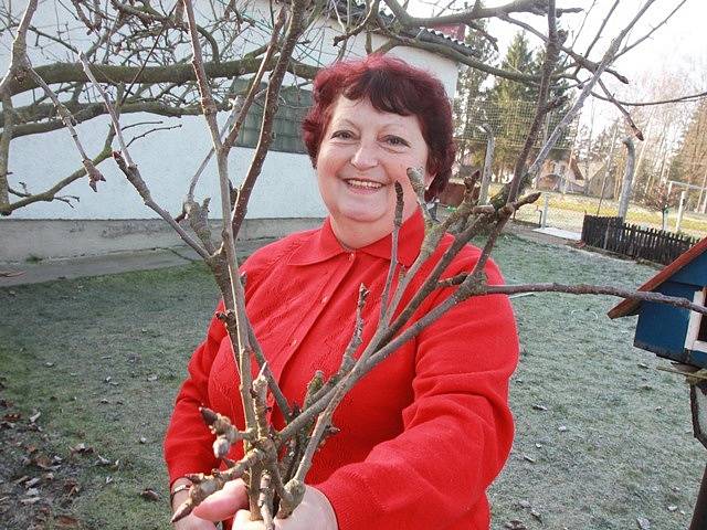 Marie Naivirtová z Dobré Vody u Českých Budějovic řeže barborky.