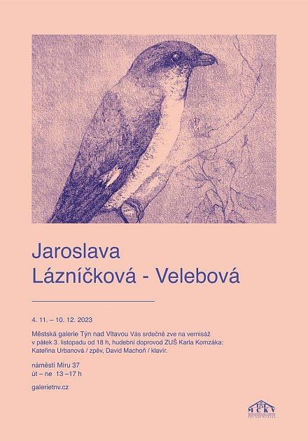 Výstava v Týně nad Vltavou přiblíží dílo Jaroslavy Lázníčkové - Velebové.