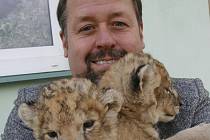 Libor Hrubý pózuje v roce 2010 s koťaty lva pustinného.
