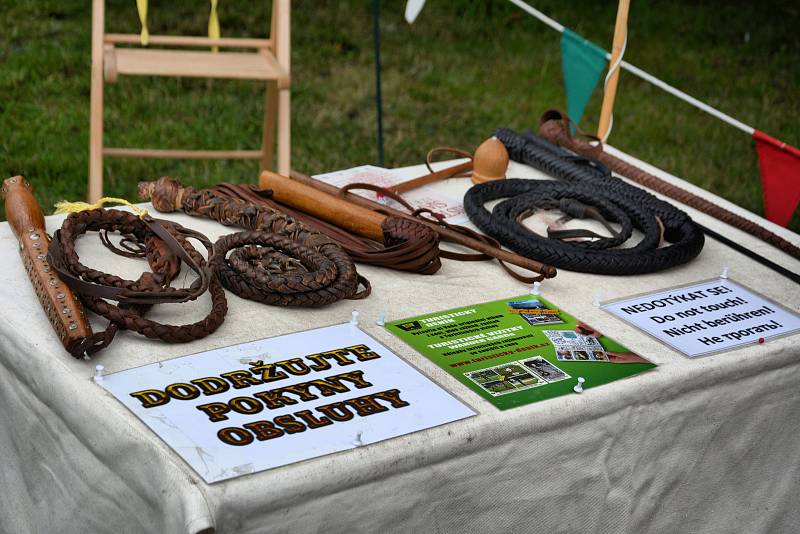 Historické slavnosti si v sobotu užili lidé v Týně nad Vltavou.