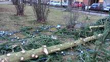 Zlomený kmen vánočního stromu v Lišově.