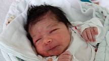 Jak to na světě chodí, bude za čas vysvětlovat své mladší sestřičce Lilianě Raiminiusové  z Českých Budějovic dvouletá Sarah. Liliana  se narodila 13. 9. 2017 v 9.29 h, vážila 3,09 kg.
