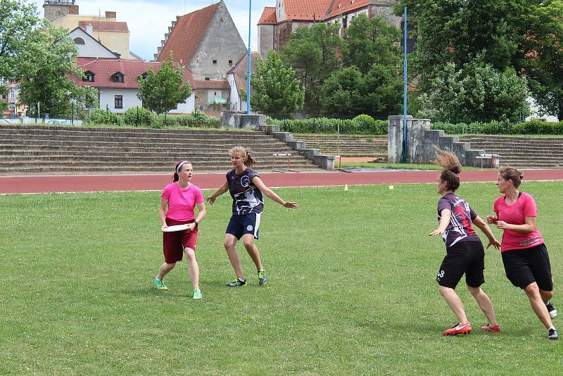 V Českých Budějovicích se konalo 3. a 4. 6. 2017 historicky první mistrovství juniorů ČR ve frisbee pod širým nebem.