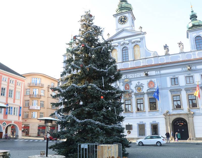 Vánoční strom v Českých Budějovicích.