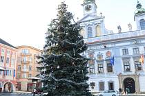 Vánoční strom v Českých Budějovicích