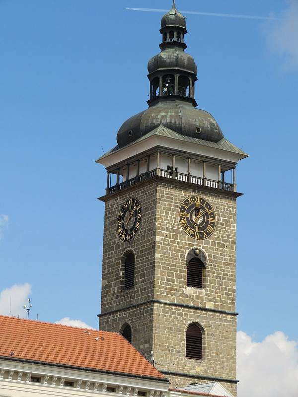 Problém s holuby v Českých Budějovicích by mohl vyřešit holubník. Podívejte se, kolik jich je na náměstí Přemysla Otakara II.