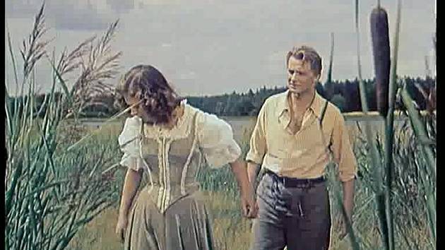 Krajina na Třeboňsku dodala do filmu rybniční idylu.