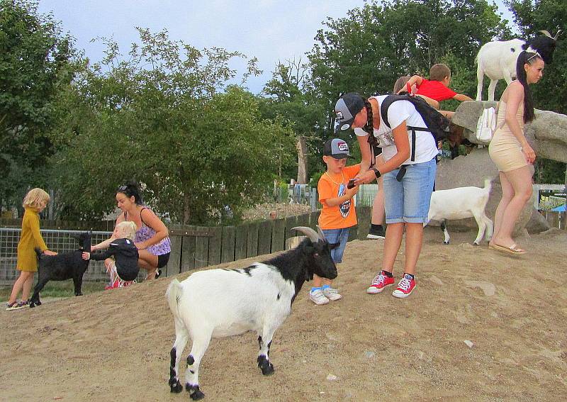 Večerní pohádková zoo přilákala desítky návštěvníků.