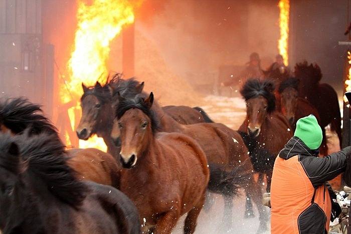 Snímek z natáčení televizního filmu Sněžná noc. Úprk huculského stáda z hořícího statku v areálu jistebnického zámku. Scéna byla dramatická a působivá. 