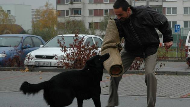 Na fotce se služební pes Basko zakusuje do primátora Juraje Thomy.