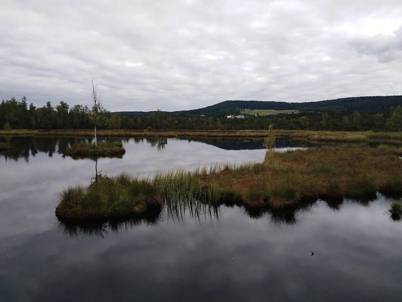 Konec léta na Chalupské slati.